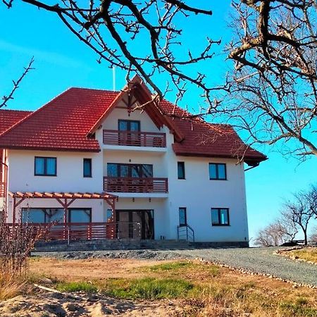 Casa Comilor Bed & Breakfast Surdesti  Luaran gambar