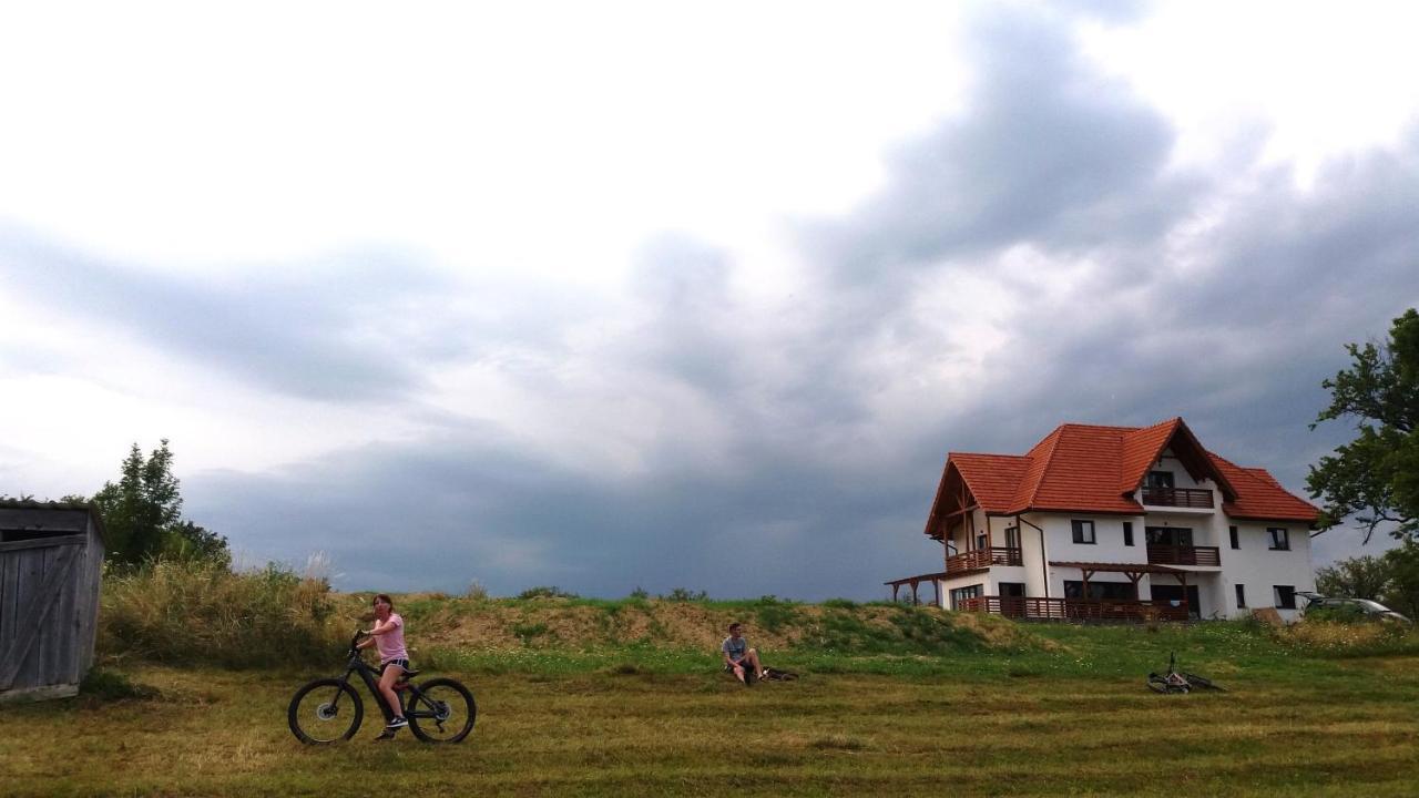 Casa Comilor Bed & Breakfast Surdesti  Luaran gambar