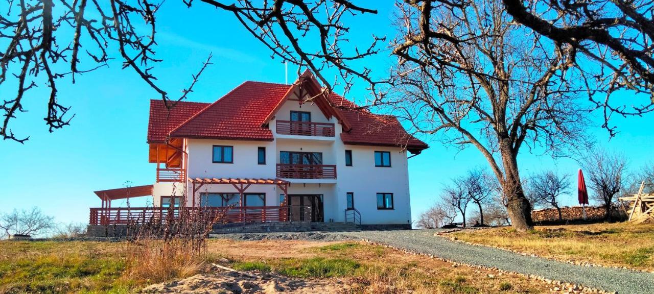 Casa Comilor Bed & Breakfast Surdesti  Luaran gambar