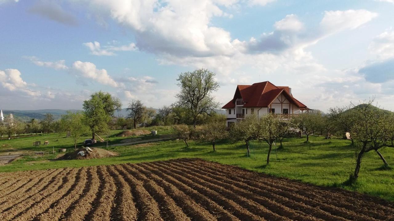 Casa Comilor Bed & Breakfast Surdesti  Luaran gambar